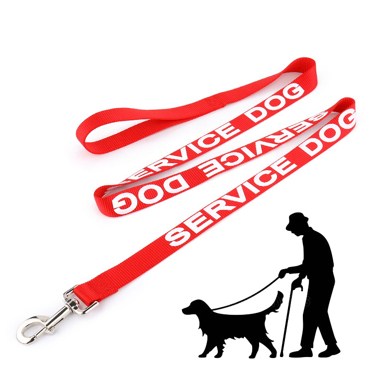 Custom Pet Leads